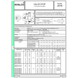 Valve stop (bloqueur)+ Cde man