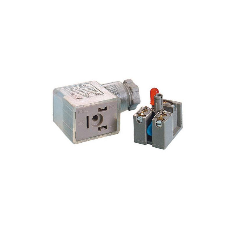 Connecteur(B) 2+T+LED+VDR-115V